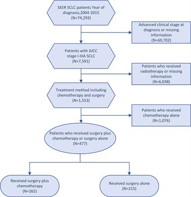 Surgery Plus Chemotherapy Versus Surgery Alone for Limited-Stage Small-Cell Lung Cancer: A Population-Based Survival Outcome Analysis